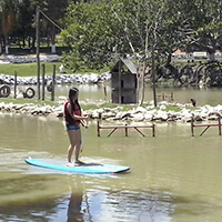 Atividade Macaquinhos Turismo 